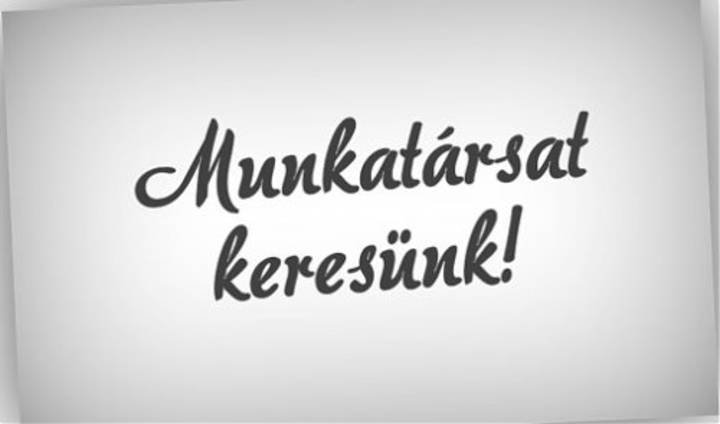 Munkatrsakat keresnk